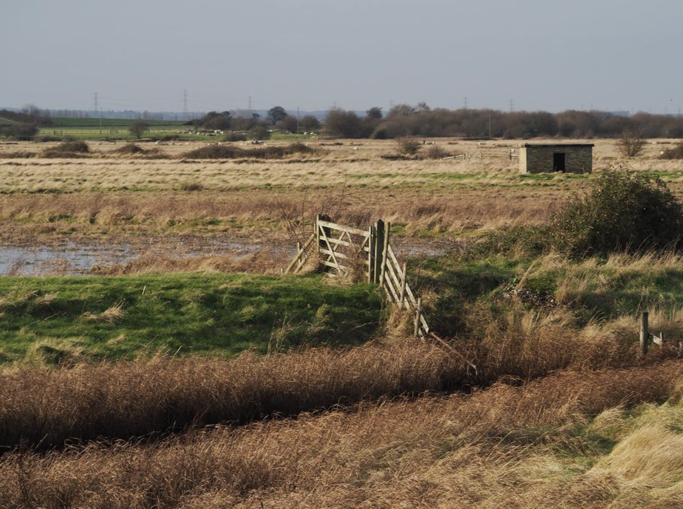 Saxon Shore Faversham