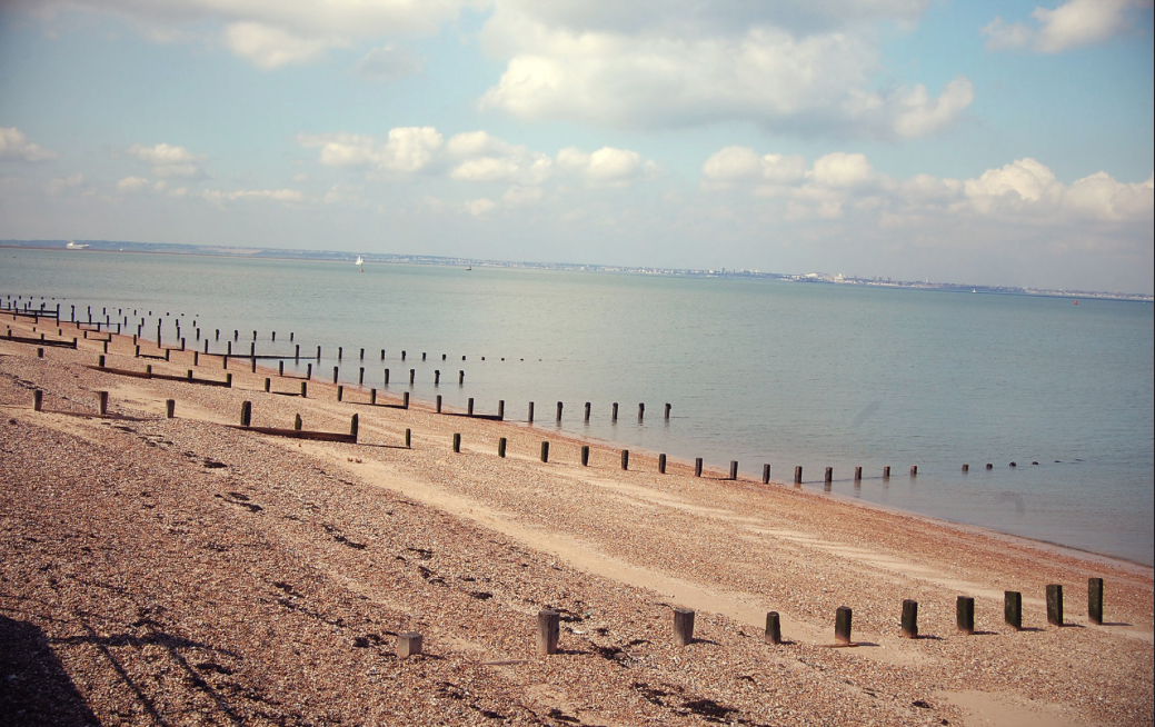 Sheppey Beeches