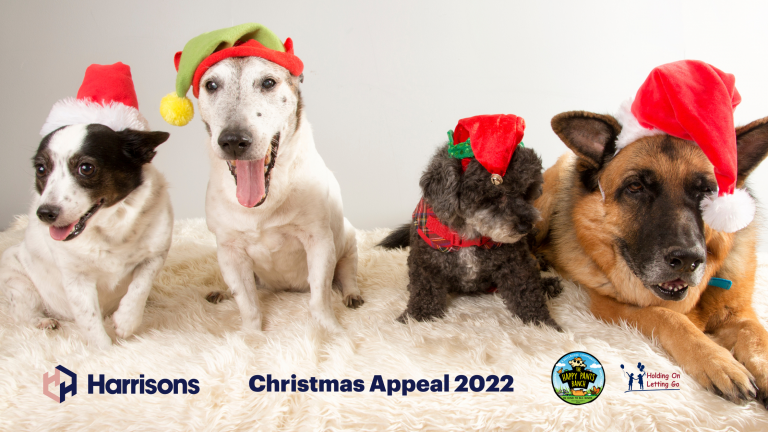 Harrisons’ Christmas Appeal